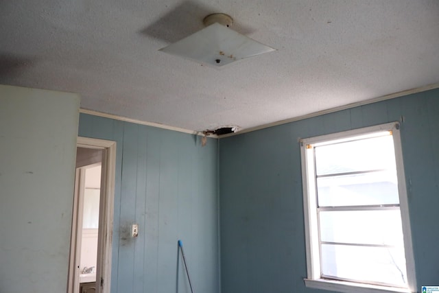 spare room with wood walls, sink, a textured ceiling, and ornamental molding