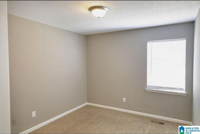 unfurnished room with a textured ceiling, carpet flooring, and a healthy amount of sunlight