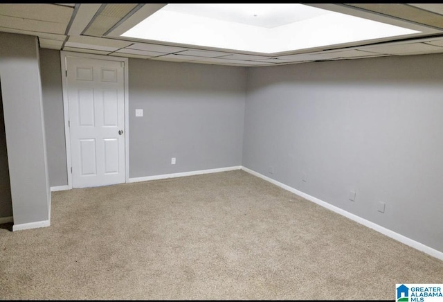 basement featuring carpet floors