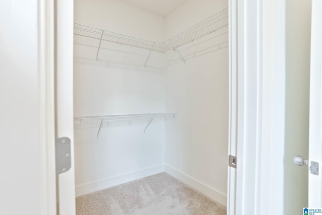 walk in closet featuring carpet floors