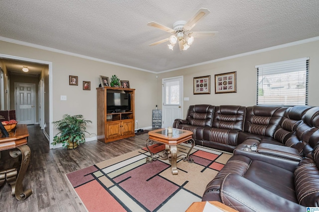 living room with a textured ceiling, ceiling fan, dark hardwood / wood-style flooring, and crown molding