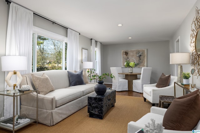 living room featuring hardwood / wood-style floors