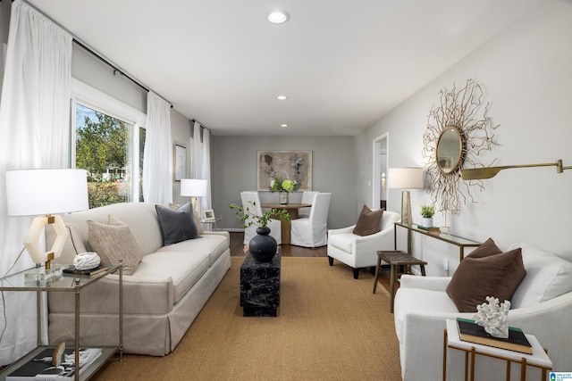 living room with wood-type flooring