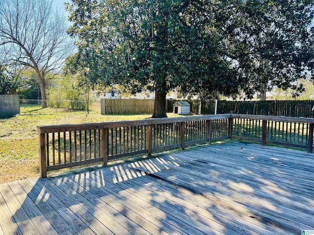 wooden terrace with a lawn and a storage unit