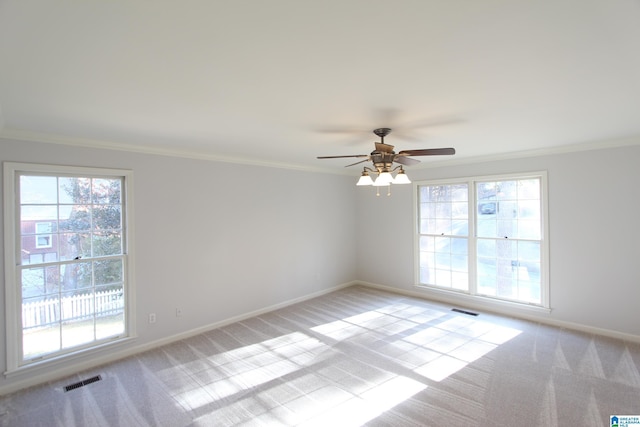 carpeted empty room with a wealth of natural light and crown molding