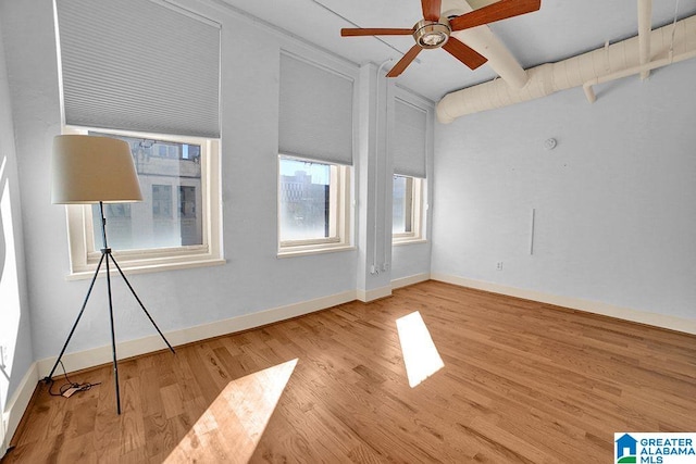 empty room featuring ceiling fan and wood-type flooring