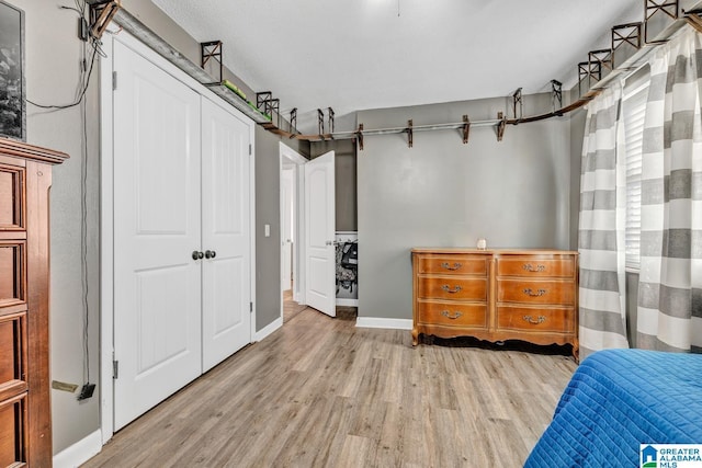 interior space with a closet and light hardwood / wood-style flooring