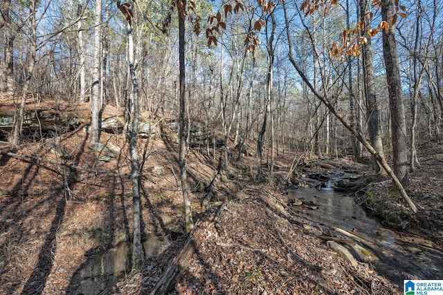 view of local wilderness