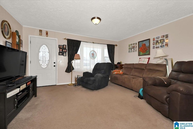 carpeted living room featuring a textured ceiling and crown molding