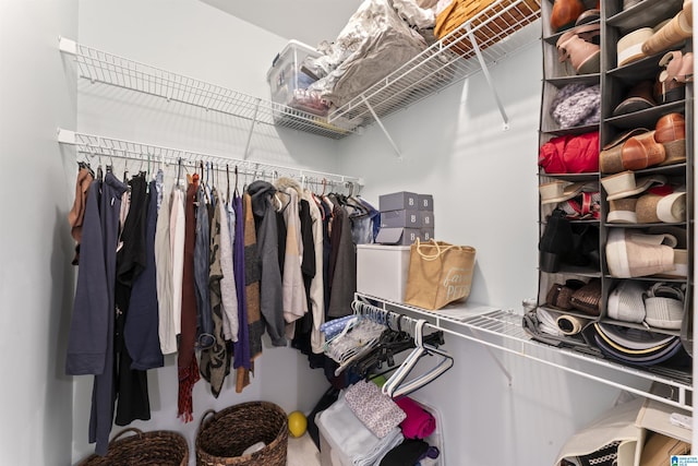 view of spacious closet