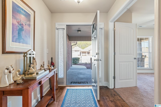 entryway featuring dark hardwood / wood-style flooring