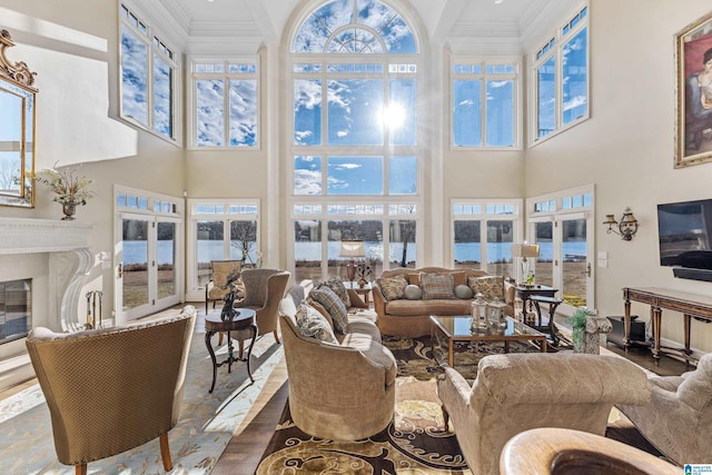 living room with french doors, a towering ceiling, and plenty of natural light