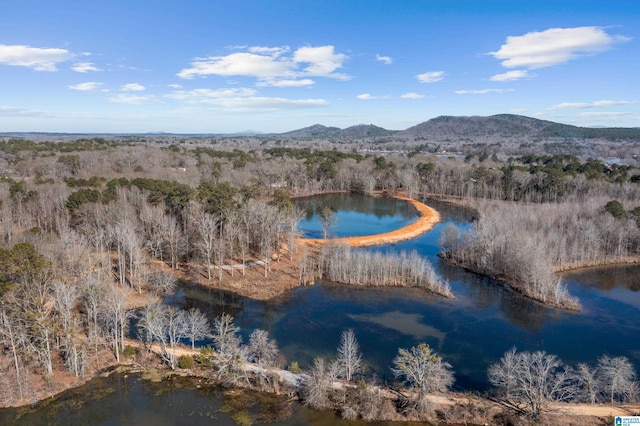 drone / aerial view featuring a water and mountain view