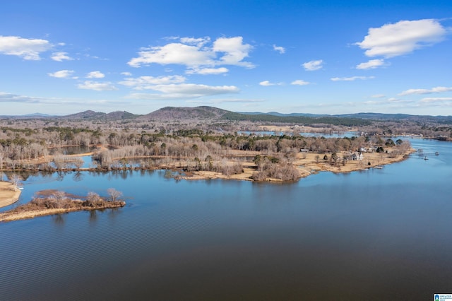 water view featuring a mountain view