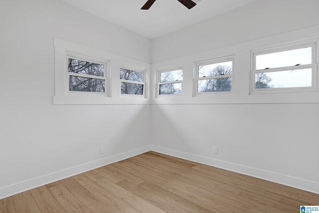 empty room with ceiling fan and light hardwood / wood-style flooring