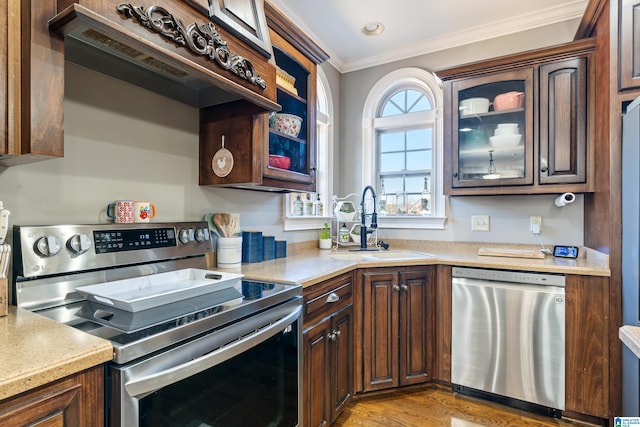 kitchen featuring sink, light hardwood / wood-style flooring, dark brown cabinetry, stainless steel appliances, and ornamental molding