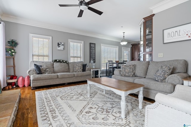 living room featuring ceiling fan, dark hardwood / wood-style floors, and crown molding