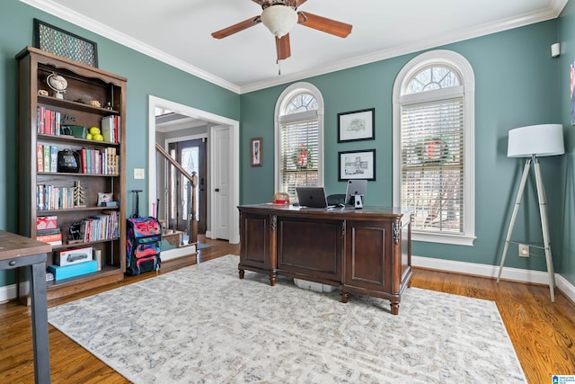 office space with ceiling fan, crown molding, and wood-type flooring