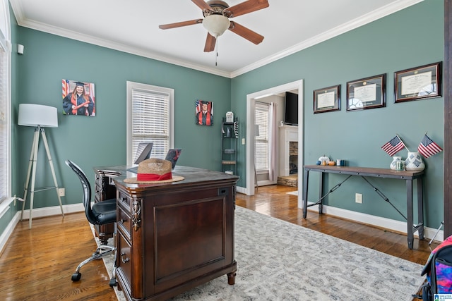 office with ceiling fan, hardwood / wood-style floors, crown molding, and a fireplace