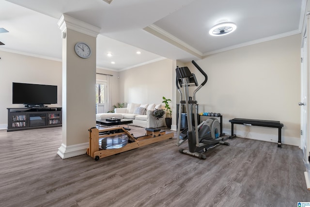 workout area with hardwood / wood-style floors and crown molding