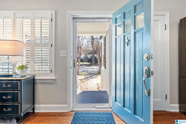 entryway featuring hardwood / wood-style flooring