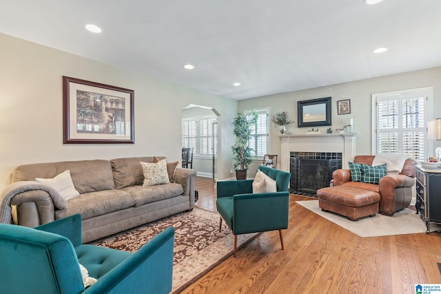 living room featuring a fireplace and light hardwood / wood-style floors