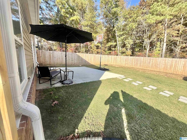 view of yard featuring a patio area