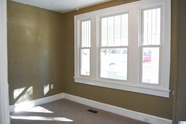 carpeted spare room with a wealth of natural light