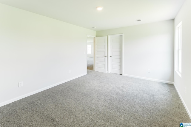 unfurnished room with carpet and a wealth of natural light