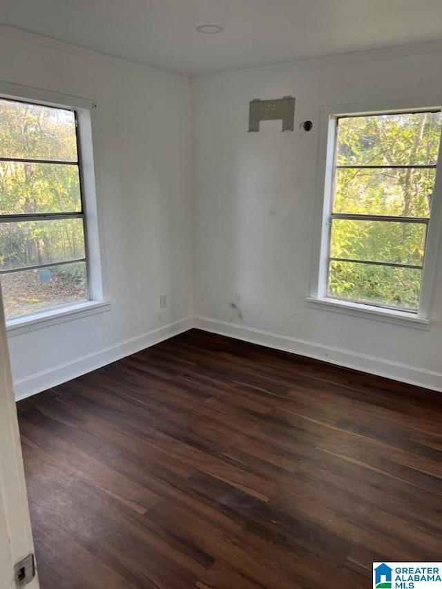 spare room with dark wood-type flooring