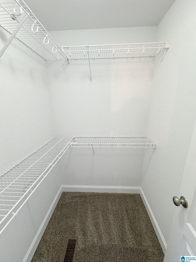 walk in closet with carpet floors