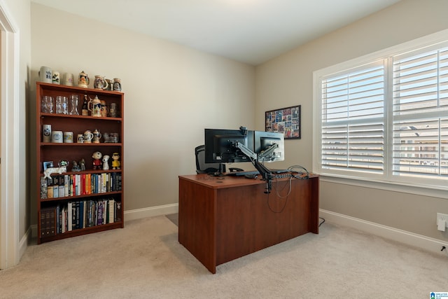 office featuring light carpet