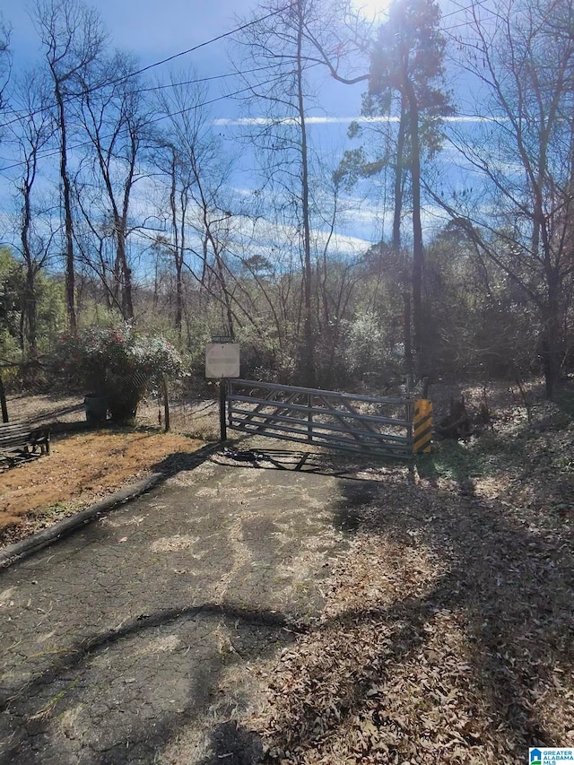 view of road featuring a gate