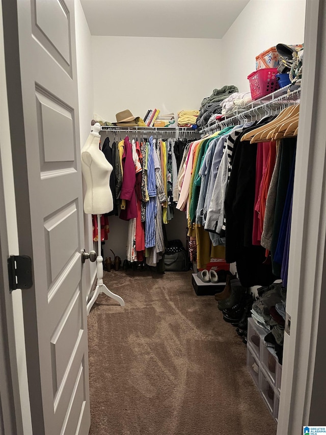 spacious closet featuring dark carpet