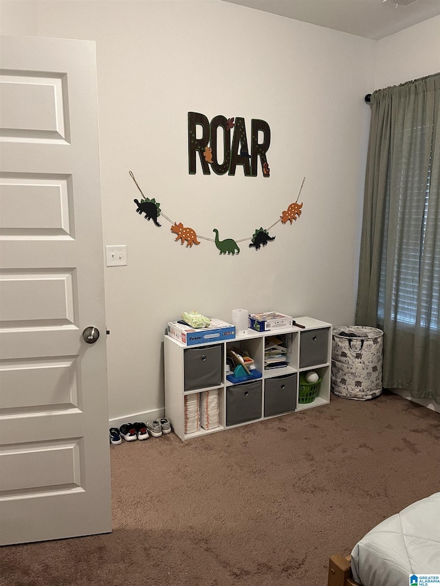 recreation room featuring carpet floors