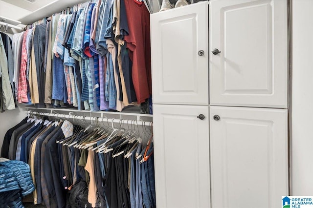 view of spacious closet