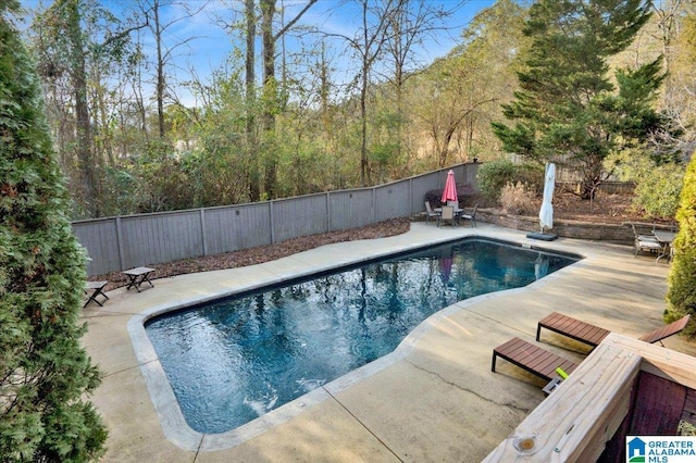 view of swimming pool featuring a patio area