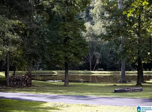 view of community featuring a water view and a yard