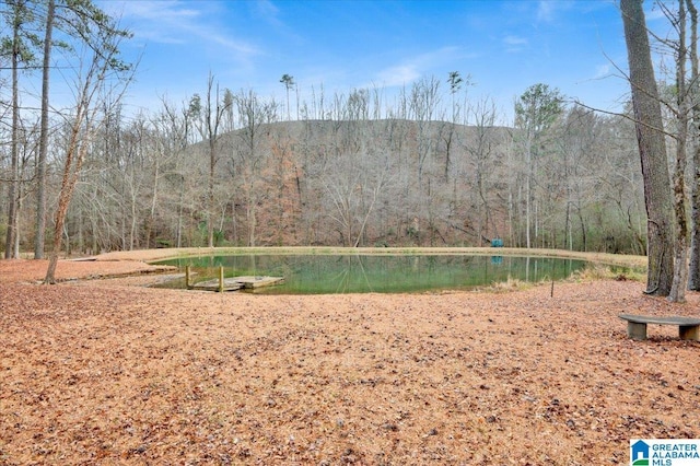 view of community featuring a water view