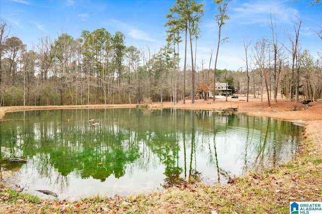 view of water feature