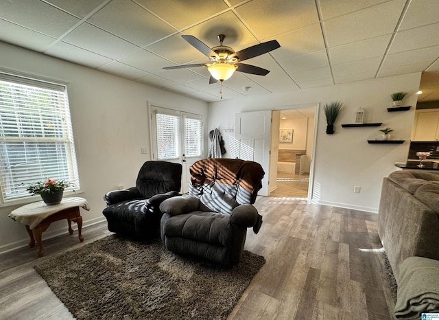 living room with ceiling fan, plenty of natural light, a drop ceiling, and hardwood / wood-style floors