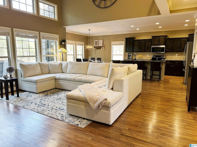 living room with a wealth of natural light, ornamental molding, a chandelier, and light hardwood / wood-style flooring