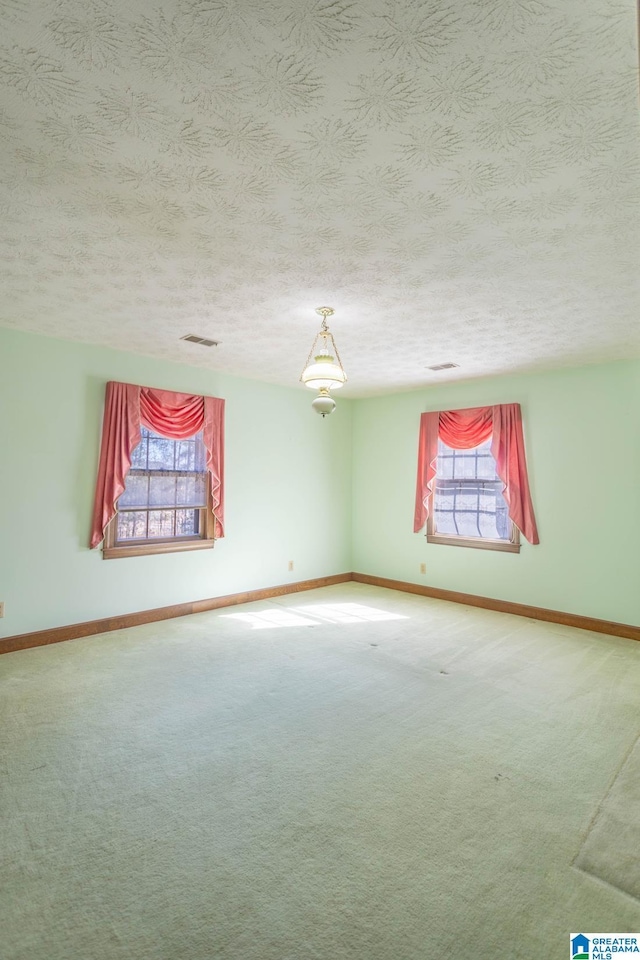 spare room with a textured ceiling, plenty of natural light, and carpet floors