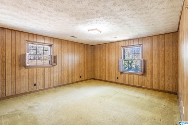 carpeted spare room featuring plenty of natural light and a textured ceiling