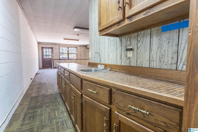 kitchen with sink and wooden walls