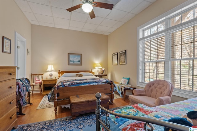 bedroom with ceiling fan, a paneled ceiling, and wood-type flooring