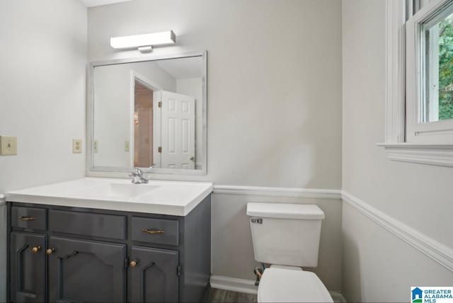 bathroom with toilet and vanity