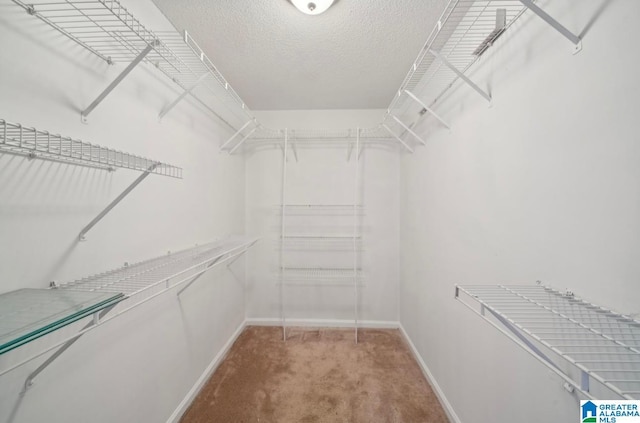 walk in closet featuring carpet floors