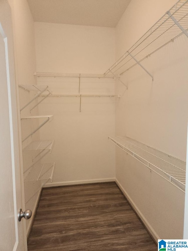 spacious closet with dark hardwood / wood-style flooring