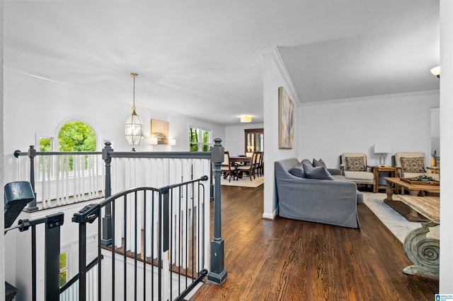 interior space with an inviting chandelier, ornamental molding, and dark hardwood / wood-style floors